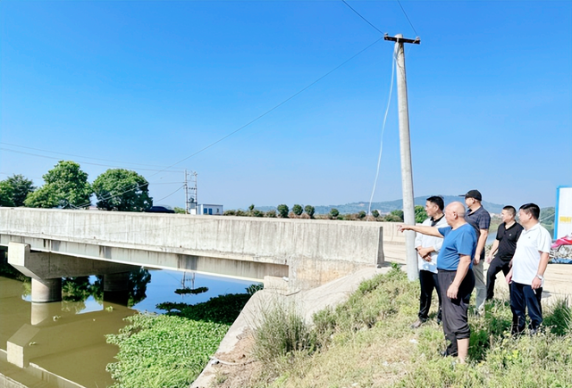 【观察】武穴市大金镇胡大村：三张牌，打出黄冈“新气质”