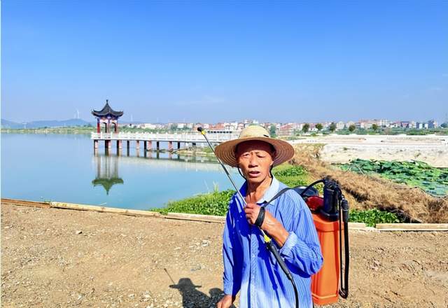 【观察】武穴市大金镇胡大村：三张牌，打出黄冈“新气质”