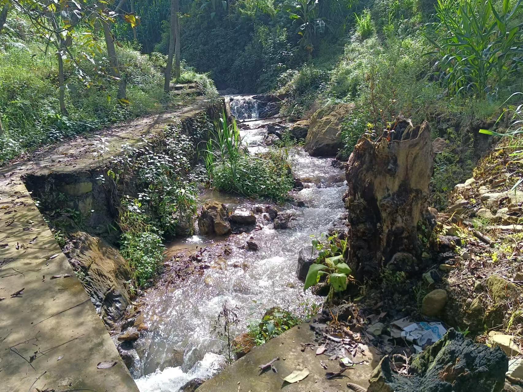 乡村四时好风光‖琼英古洞：西南边陲的那抹古茶净土（上）