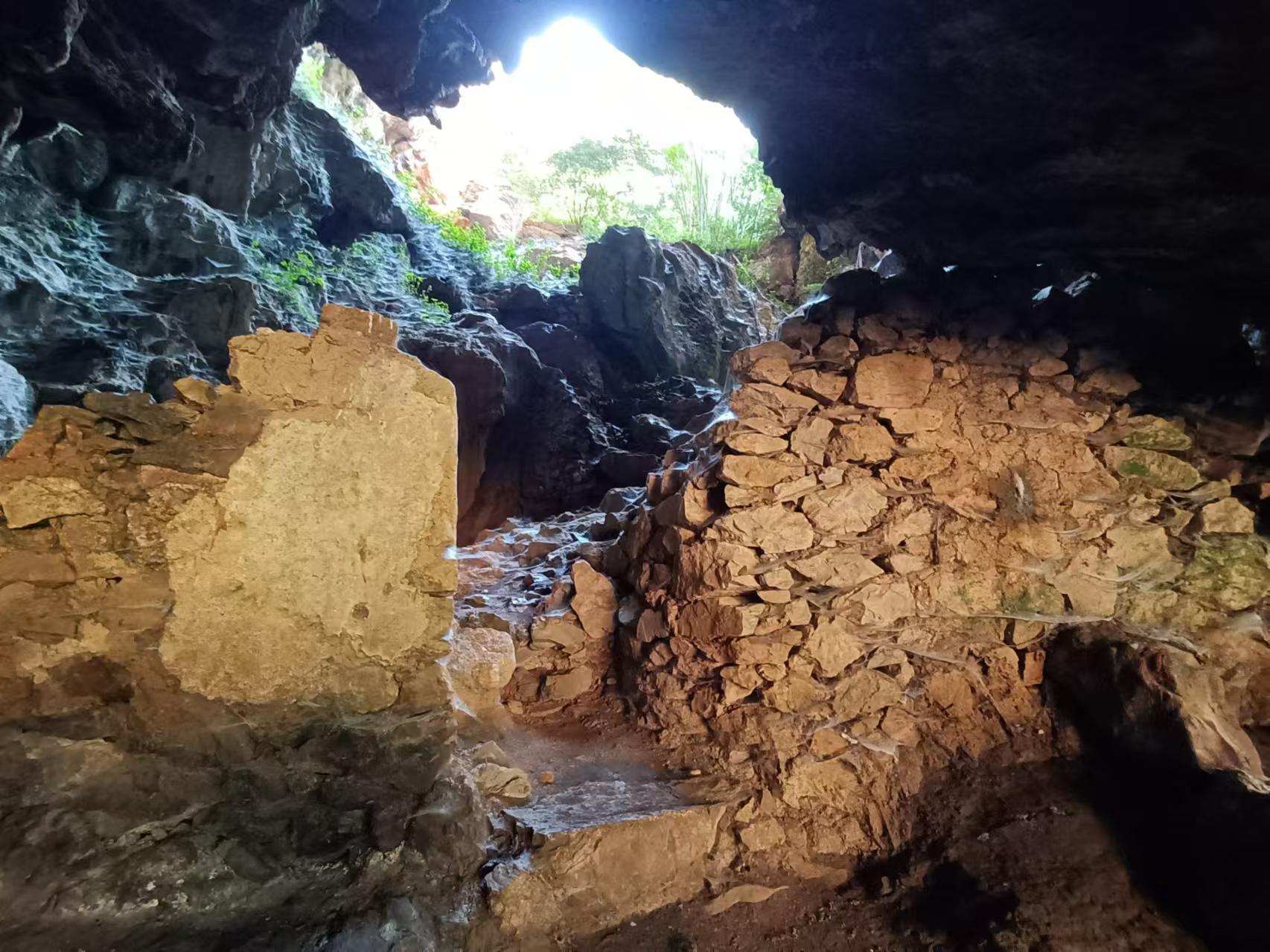 乡村四时好风光‖琼英古洞：西南边陲的那抹古茶净土（上）