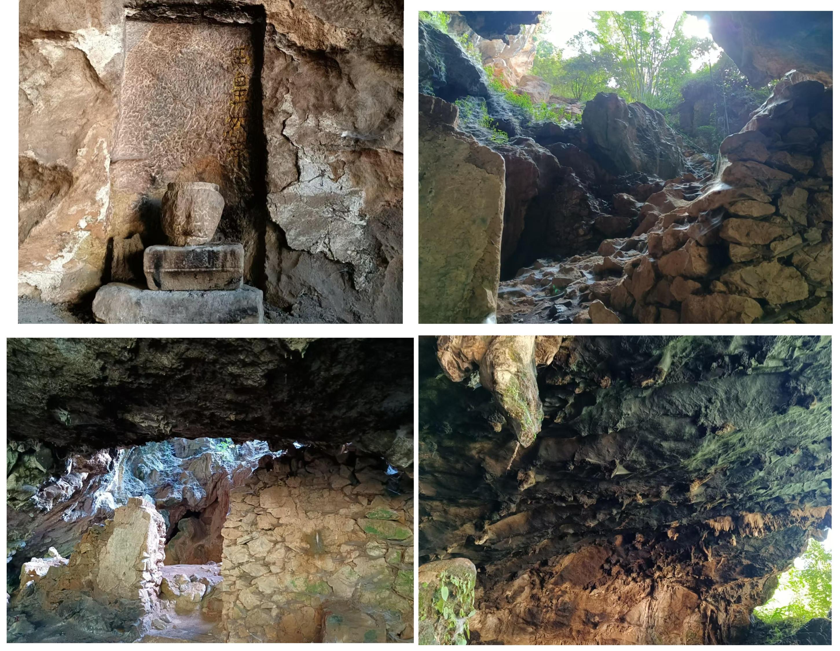 乡村四时好风光‖琼英古洞：西南边陲的那抹古茶净土（上）