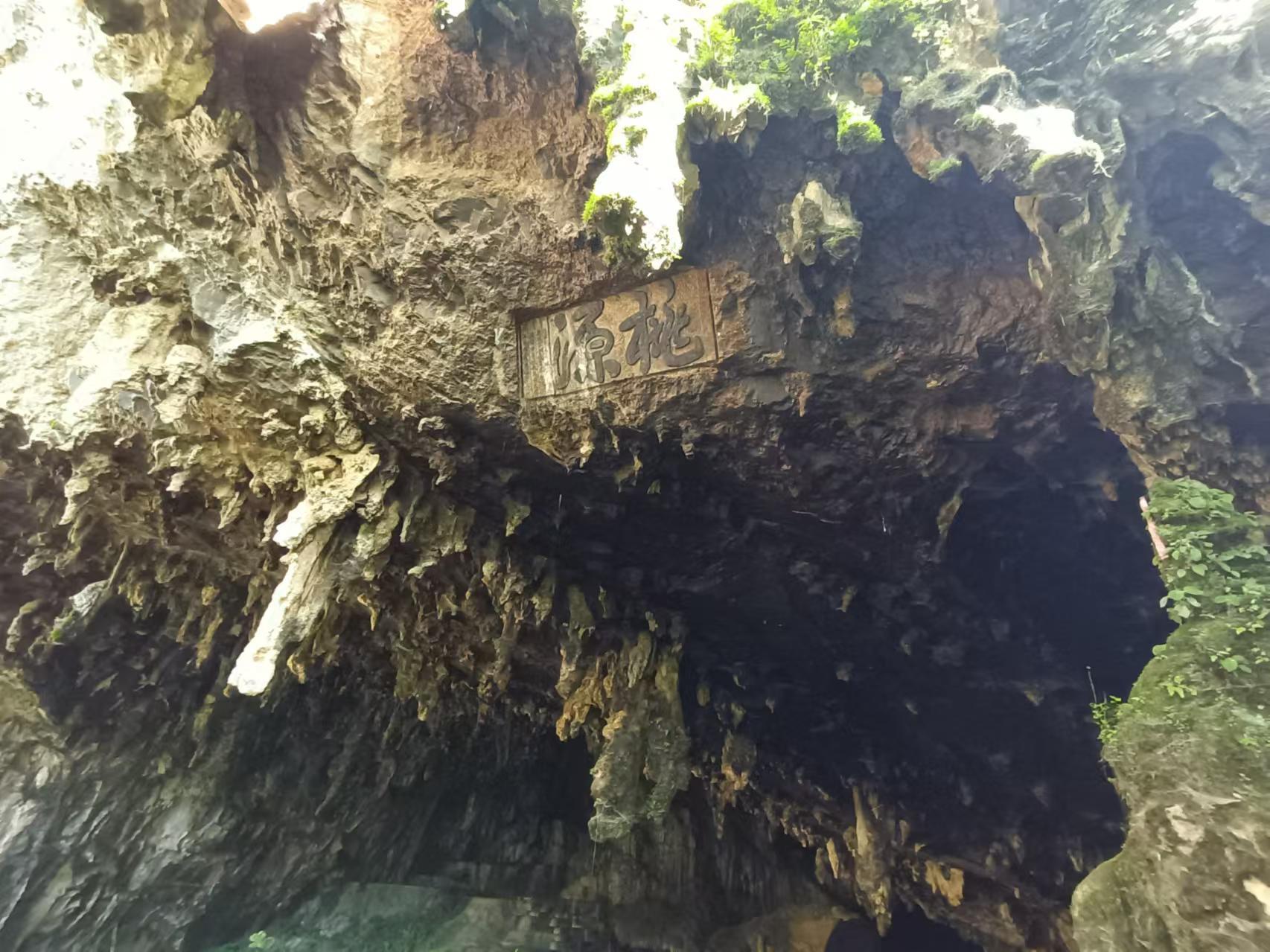 乡村四时好风光‖琼英古洞：西南边陲的那抹古茶净土（上）