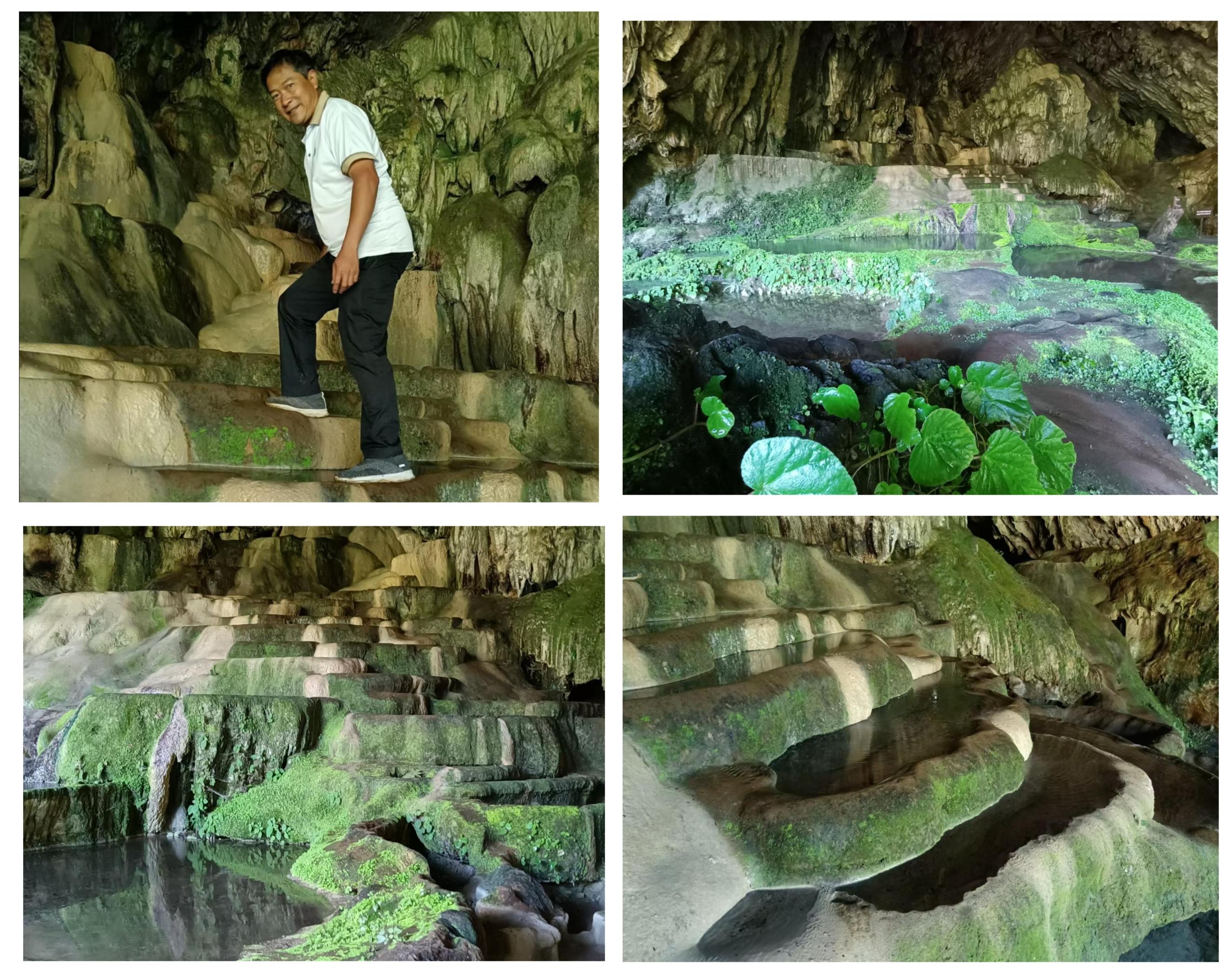 乡村四时好风光‖琼英古洞：西南边陲的那抹古茶净土（上）