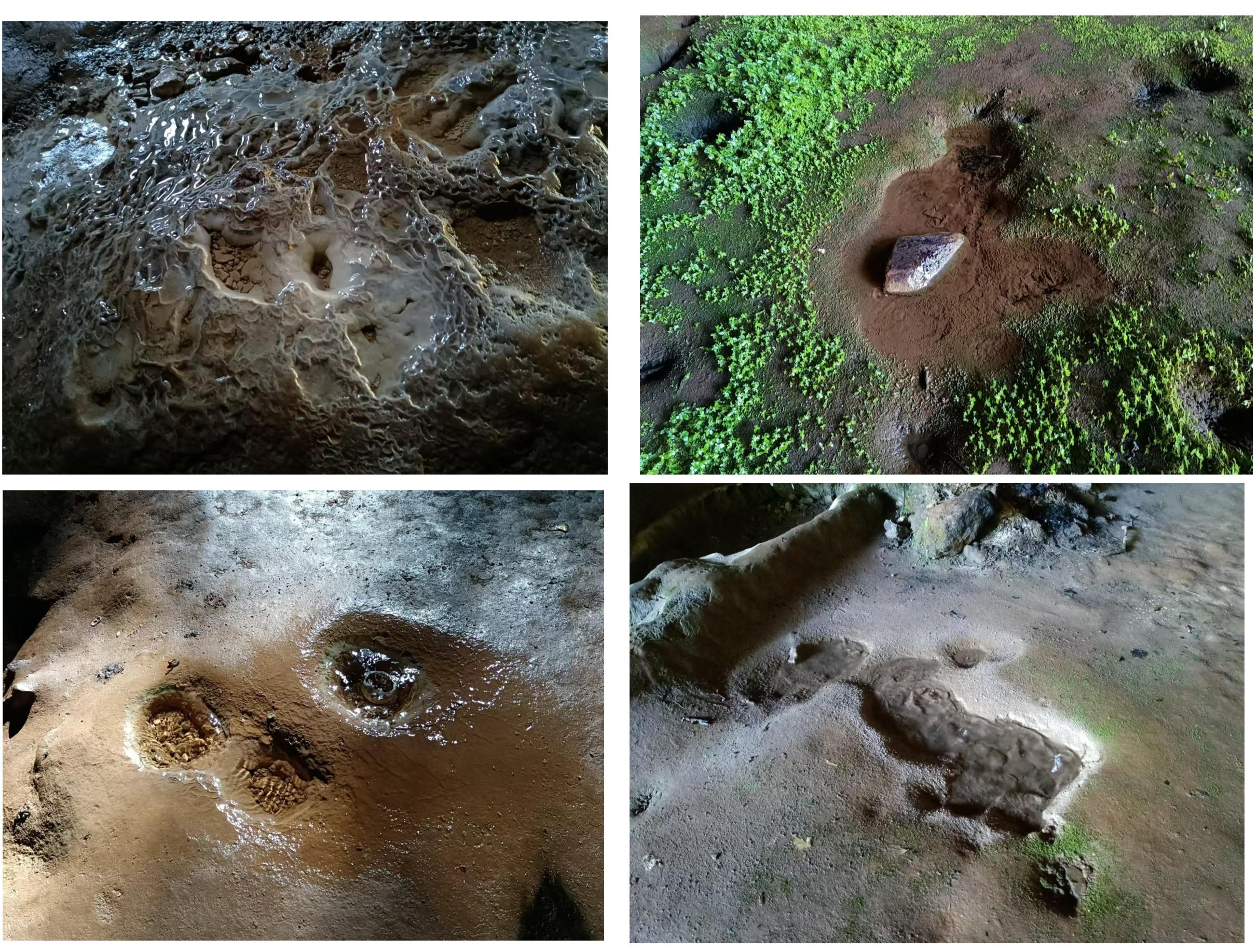 乡村四时好风光‖琼英古洞：西南边陲的那抹古茶净土（上）