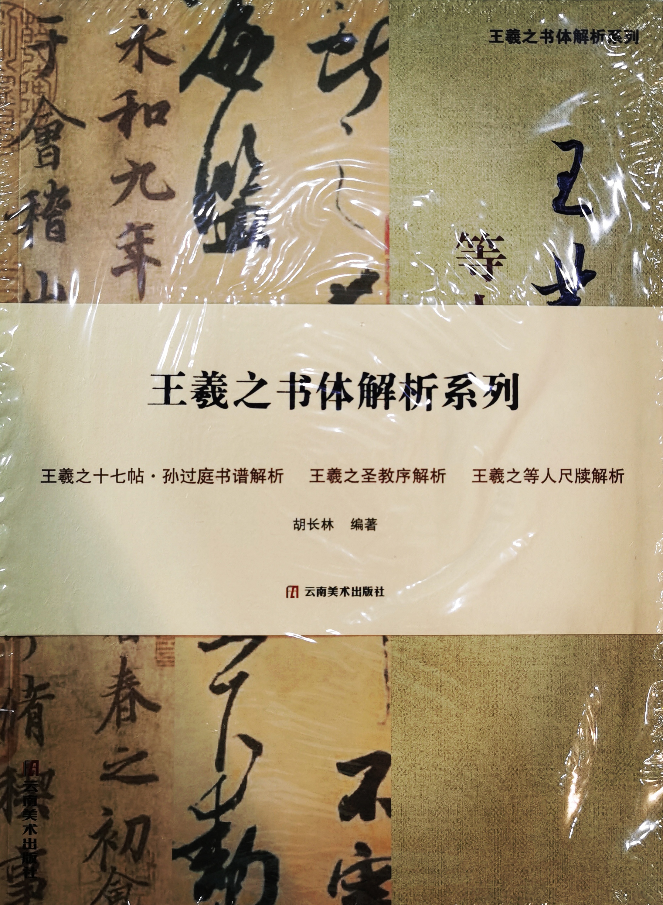 胡长林《王羲之书体解析系列》新书首发式暨捐赠仪式圆满举行
