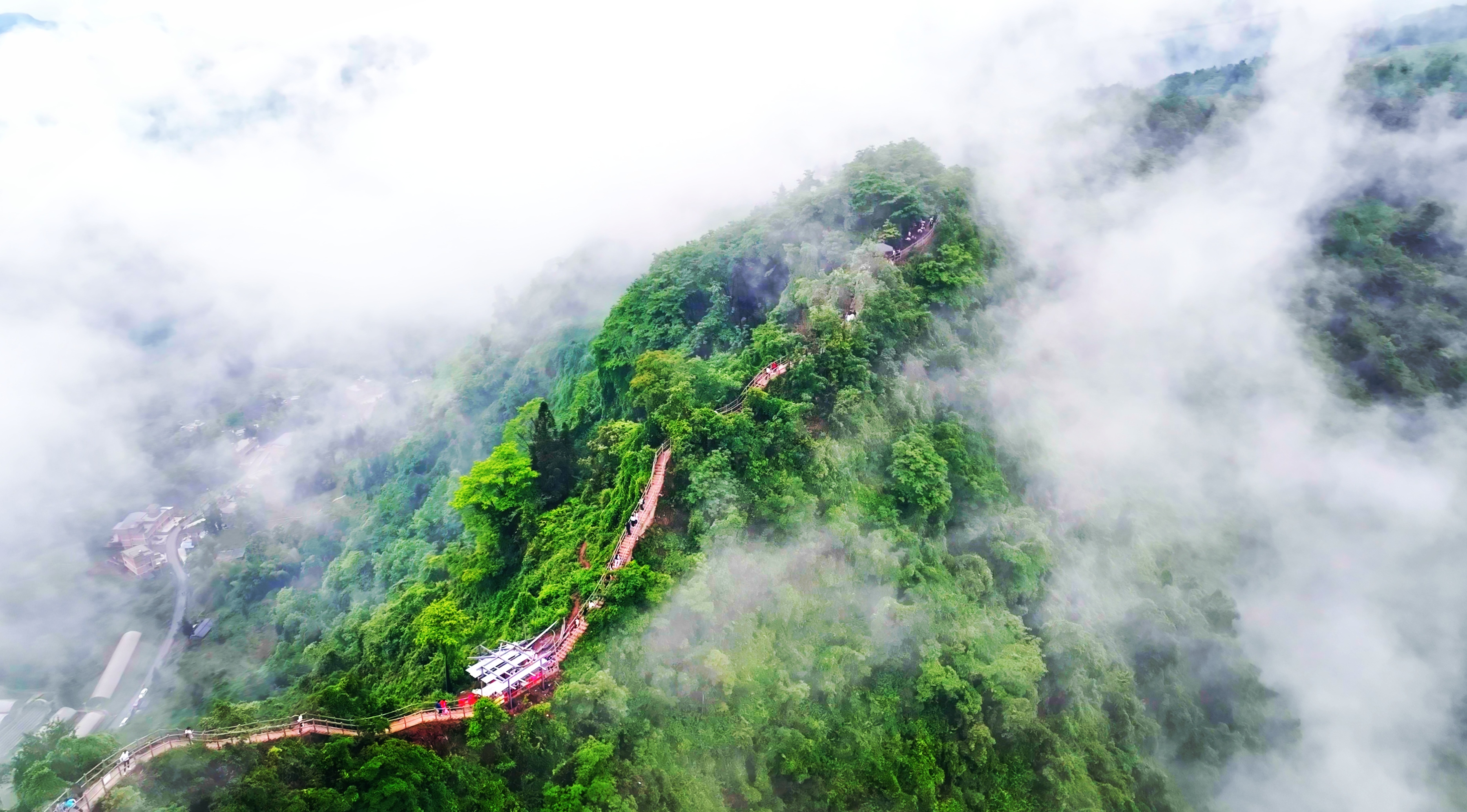 水富再起跑：沉寂四年，一场赛事唤醒城市的脉动
