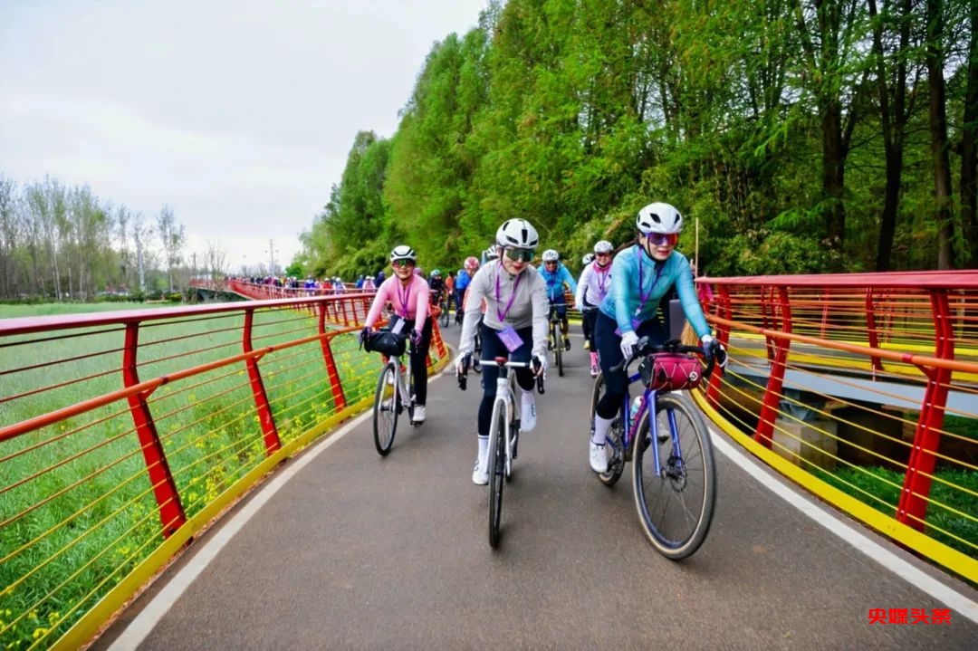 百马行动在昆首发，唱响做实有一种叫云南的生活