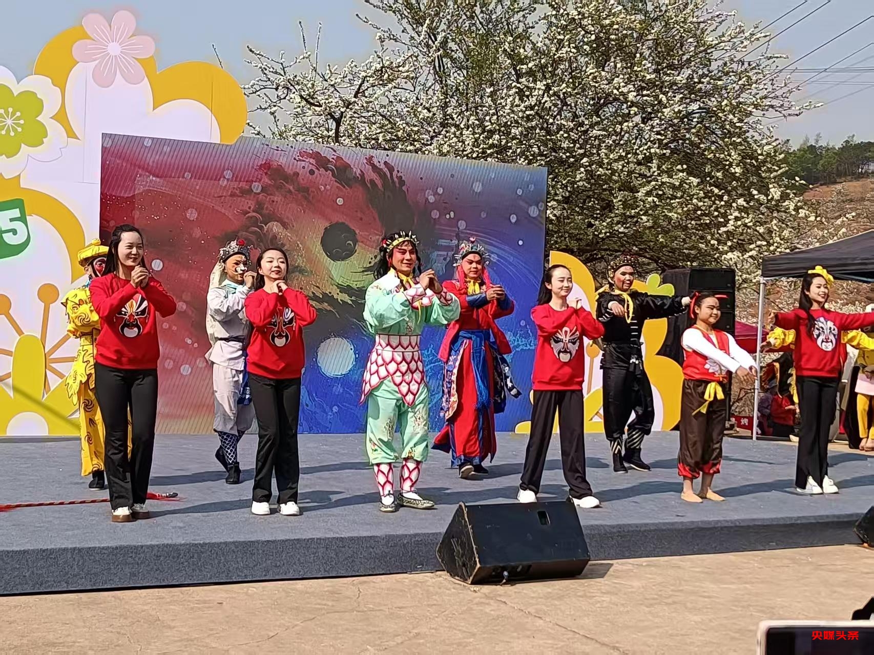 “旅居云南·慢享时光”‖梨花如雪漫西翥，花开五华动春城（上）