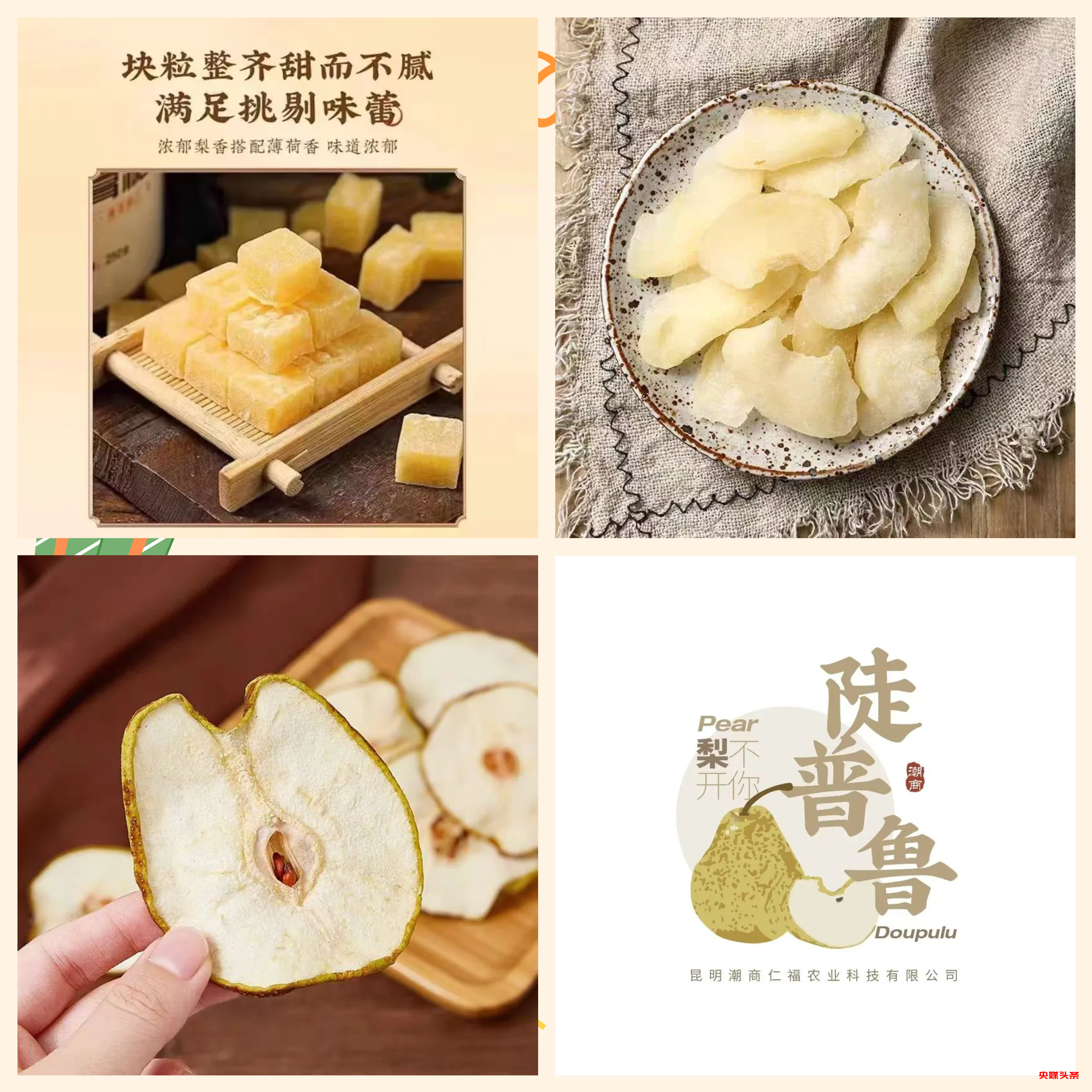 “旅居云南·慢享时光”‖梨花如雪漫西翥，花开五华动春城（上）