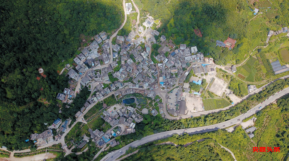 “旅居云南·慢享时光”‖梨花如雪漫西翥，花开五华动春城（下）