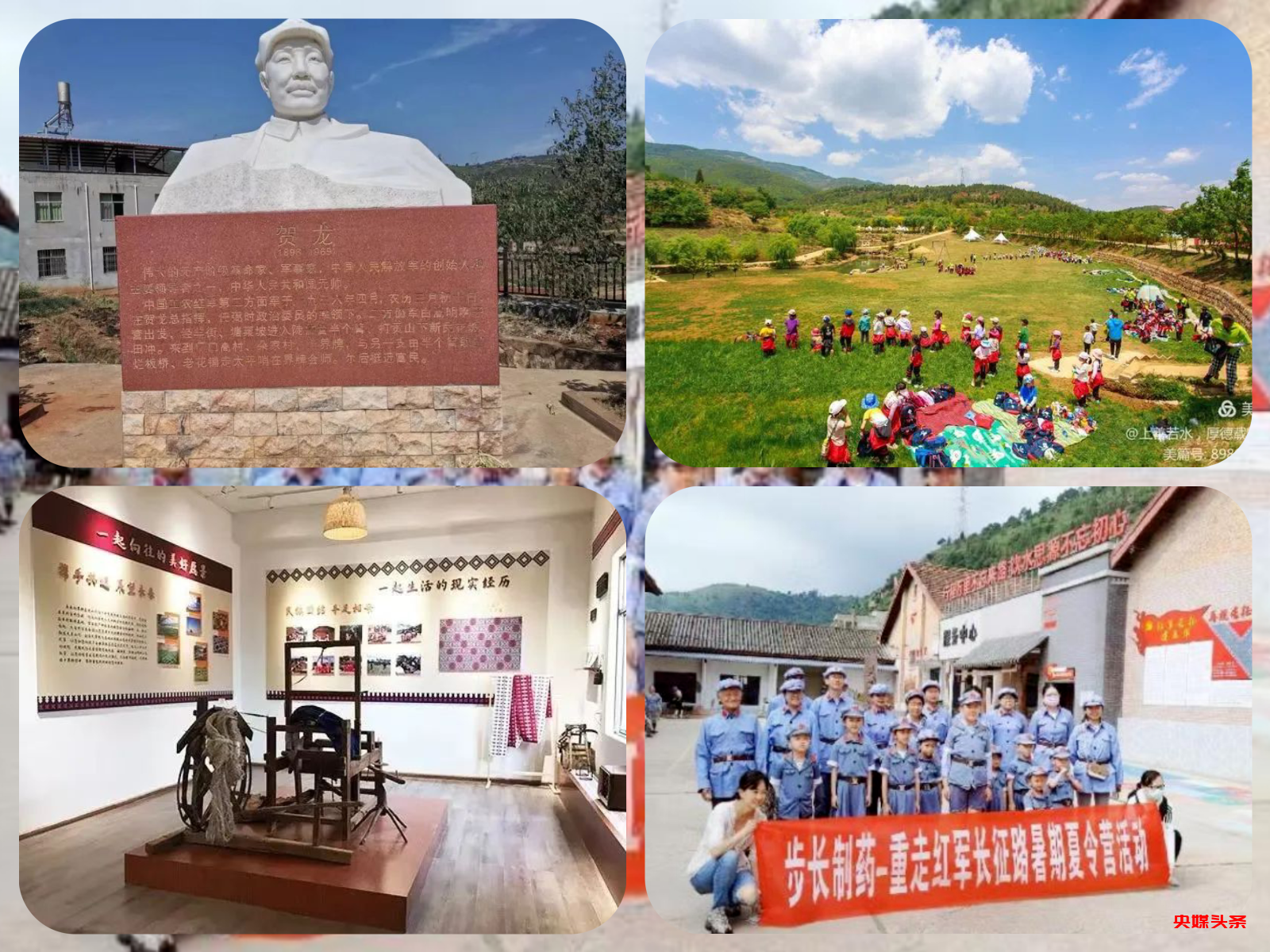 “旅居云南·慢享时光”‖梨花如雪漫西翥，花开五华动春城（下）