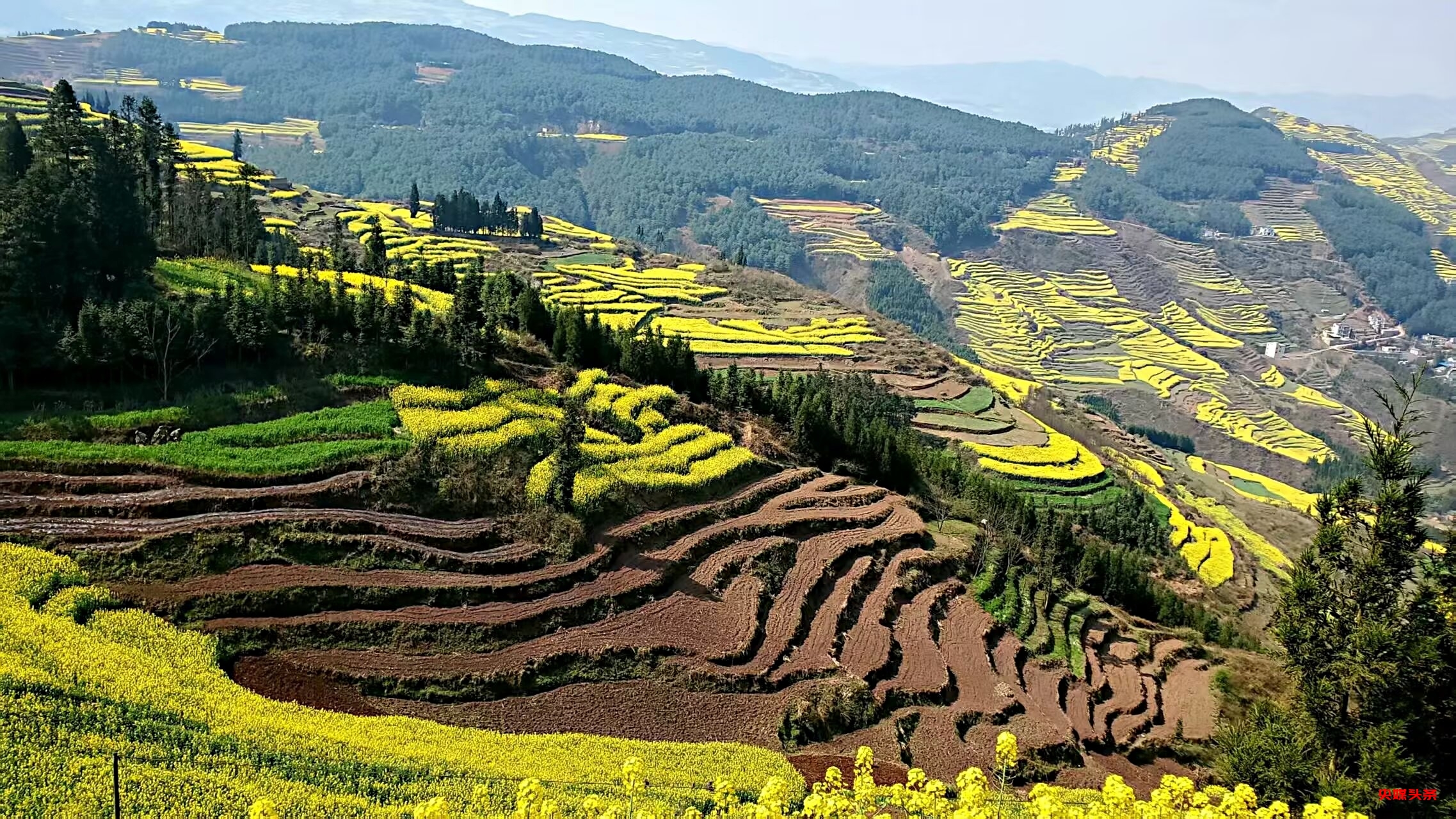 许会生：从草根摄影爱好者到文旅摄影达人的蝶变之路