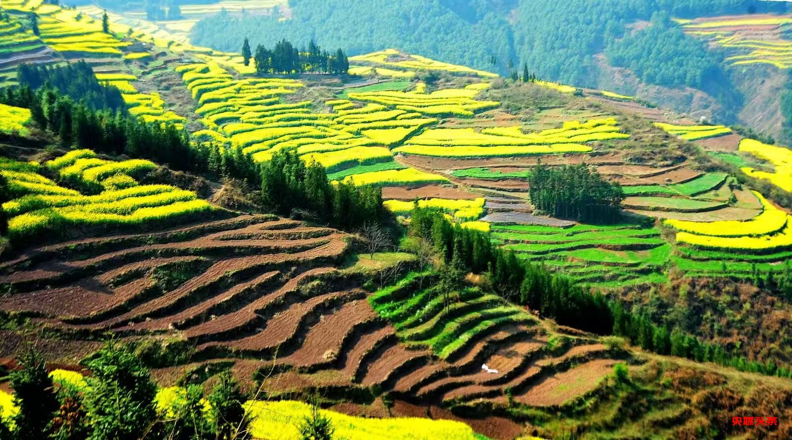 许会生：从草根摄影爱好者到文旅摄影达人的蝶变之路