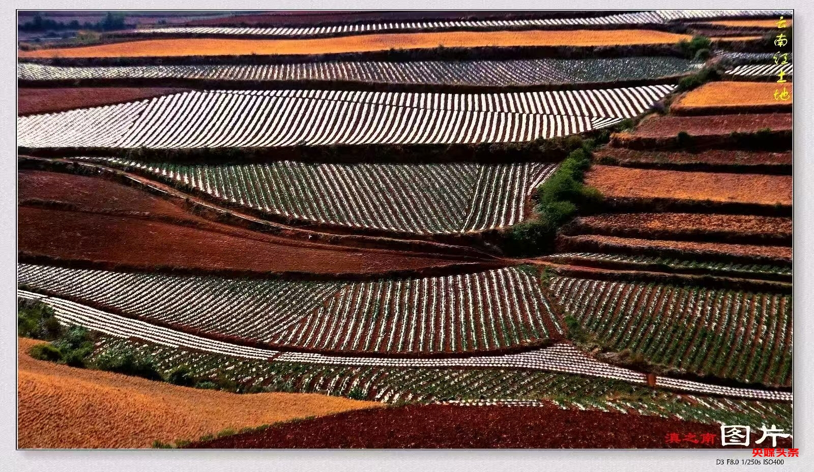 许会生：从草根摄影爱好者到文旅摄影达人的蝶变之路