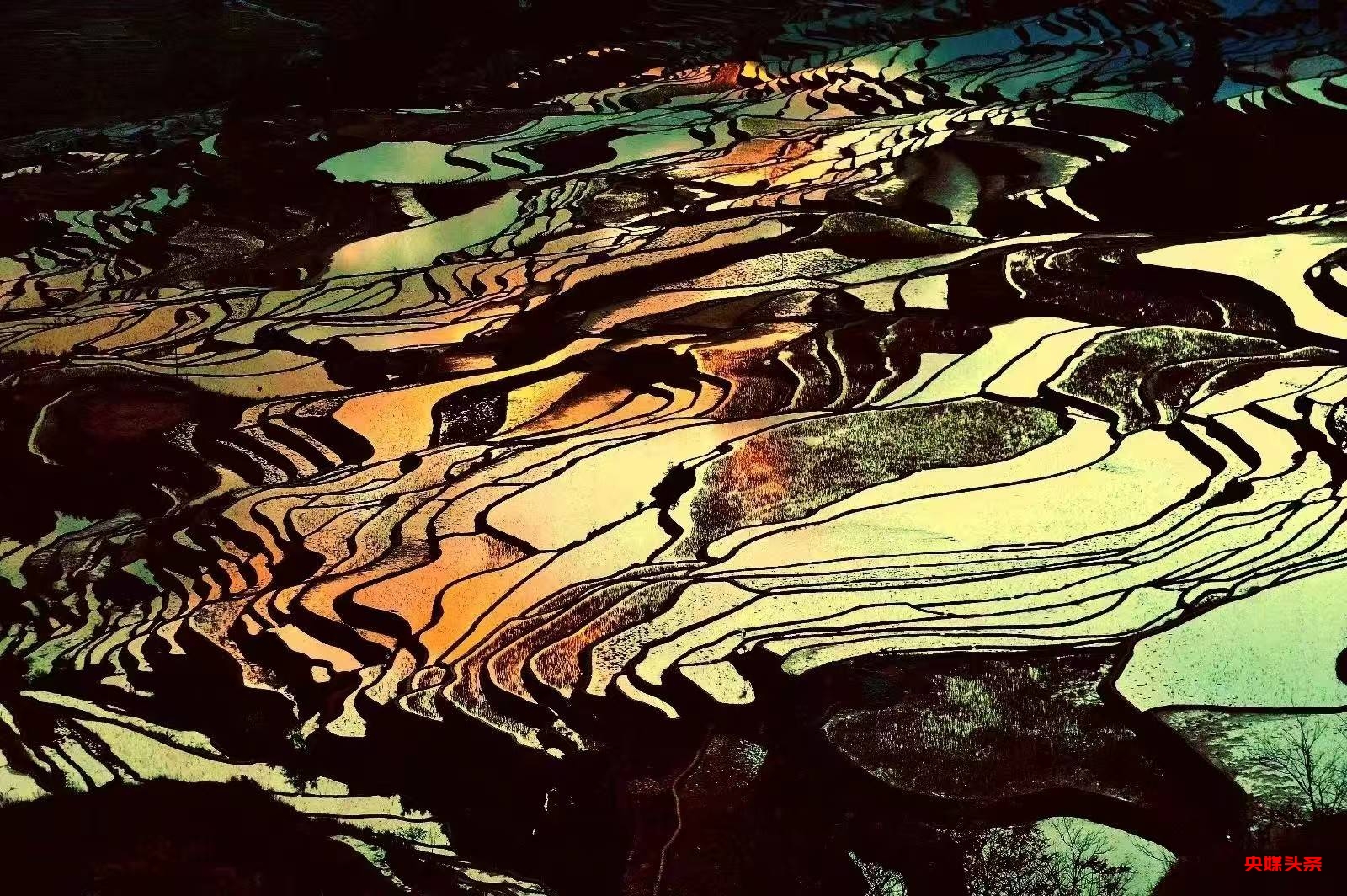 许会生：从草根摄影爱好者到文旅摄影达人的蝶变之路