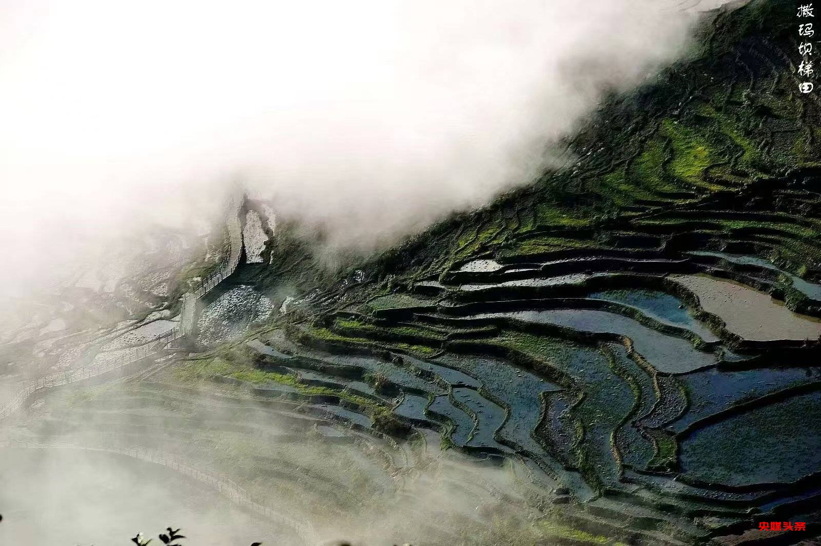 许会生：从草根摄影爱好者到文旅摄影达人的蝶变之路