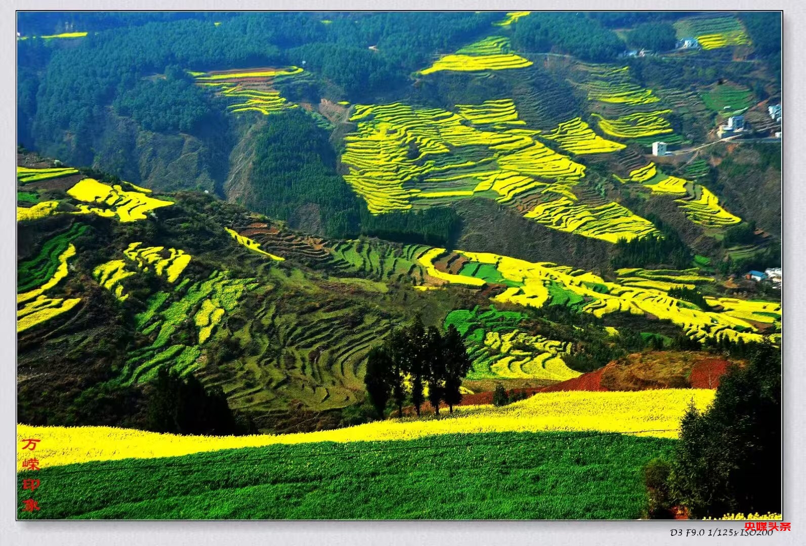 许会生：从草根摄影爱好者到文旅摄影达人的蝶变之路