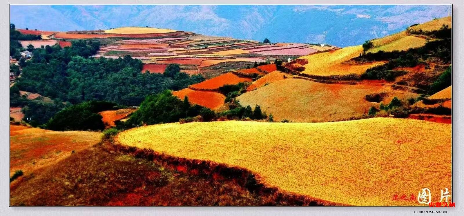 许会生：从草根摄影爱好者到文旅摄影达人的蝶变之路